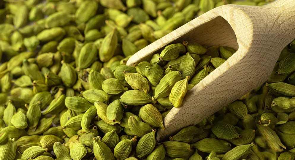 big 200326032552green cardamom 11zon (1)