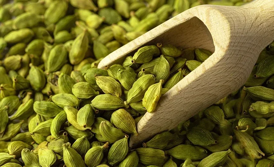 big 200326032552green cardamom (1)