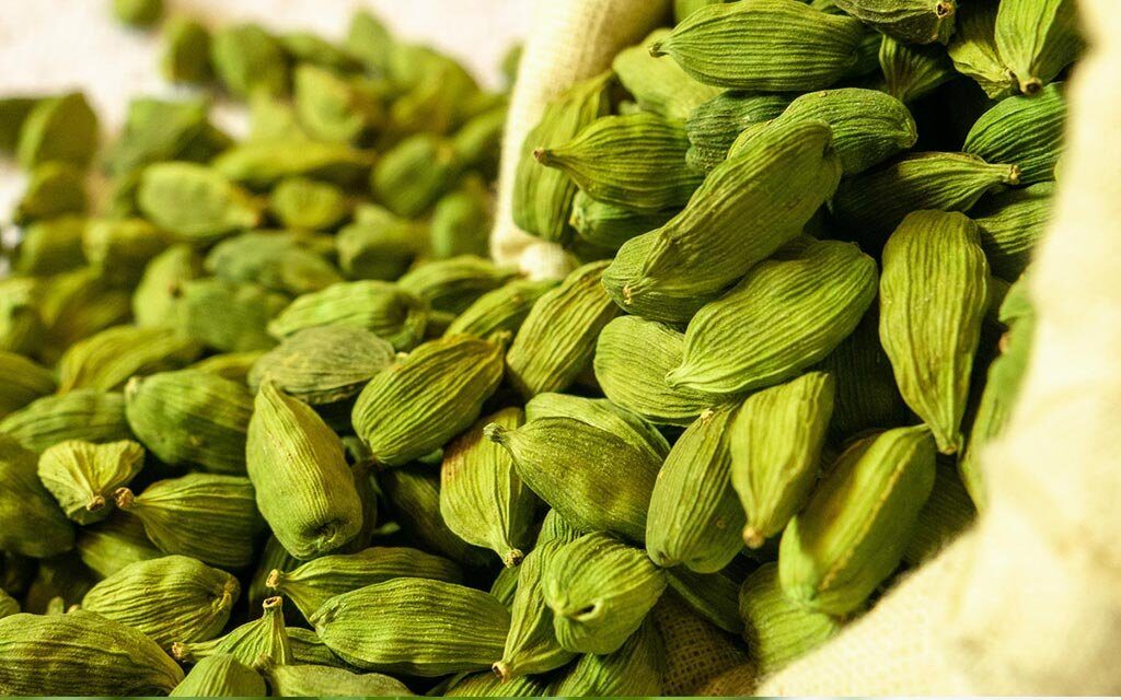 dried cardamom seeds